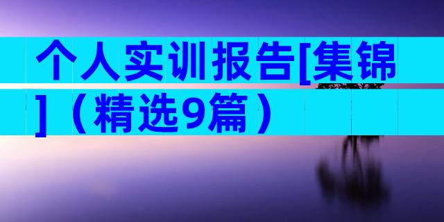 个人实训报告[集锦]（精选9篇）